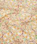 Liberty of London SS26 Tana Lawn Cotton Fabric - Serenity