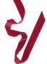 Velvet Ribbon Deep Red 38mm