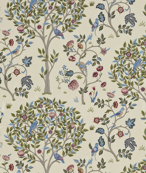 Kelmscott Tree Woad Rose 237206