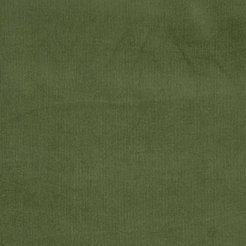Cotton Corduroy Fabric - Needlecord - Green